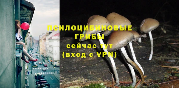 ешки Беломорск