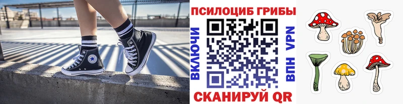 даркнет сайт  Саяногорск  Псилоцибиновые грибы мухоморы 