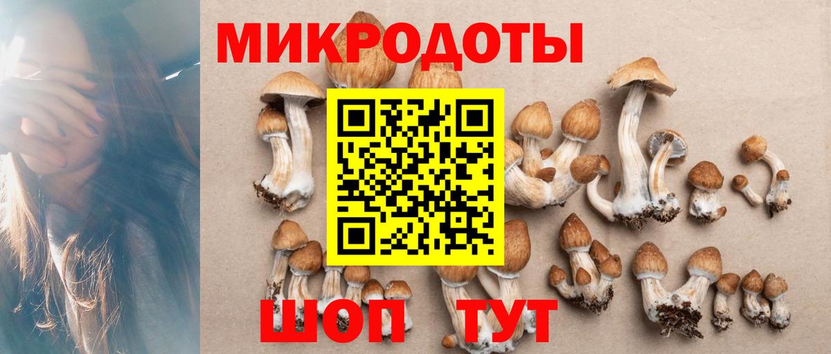 Галлюциногенные грибы прущие грибы Саяногорск